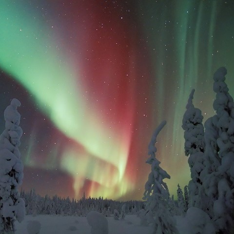 Anno all'estero in Norvegia, Svezia e Danimarca: aurora boreale