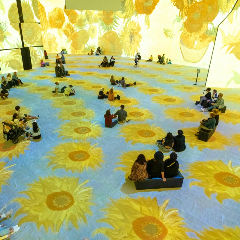 Anno all'estero nei Paesi Bassi: i girasoli al museo di Van Gogh